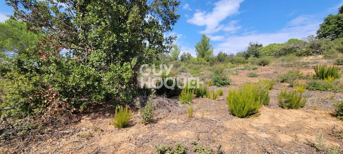 Terrain à SAINT-ANDRE-DE-ROQUELONGUE