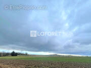 Terrain à SAINT-BEAUZIRE