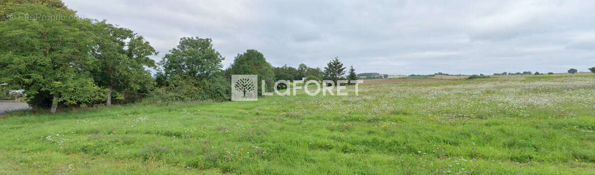 Terrain à SAINT-BEAUZIRE