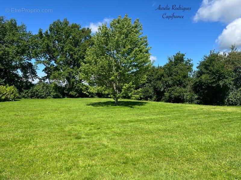 Terrain à CHATILLON-SUR-CHALARONNE