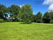 Terrain à CHATILLON-SUR-CHALARONNE