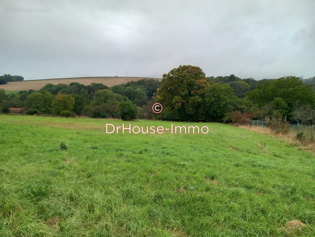 Terrain à CHESLEY