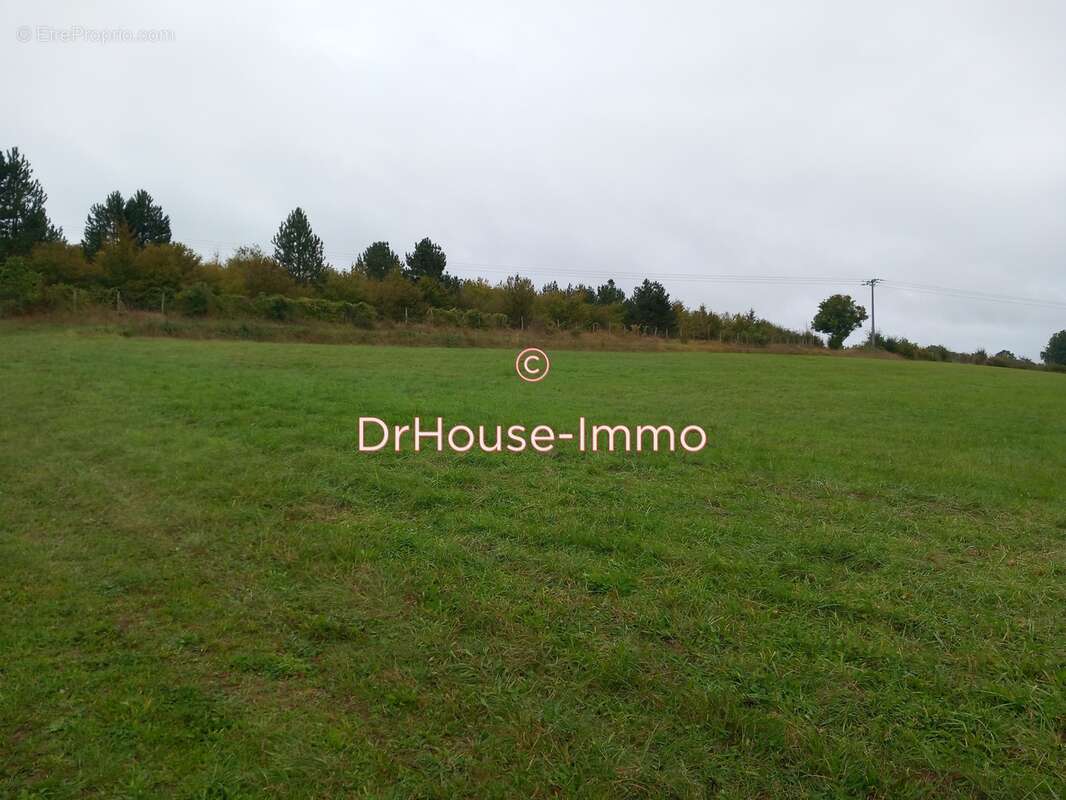 Terrain à CHESLEY