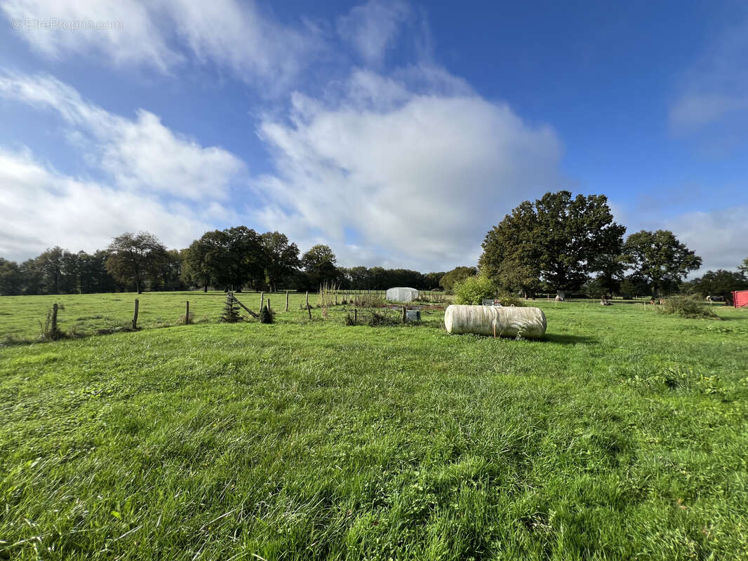 Maison à VILLAINES-LA-CARELLE