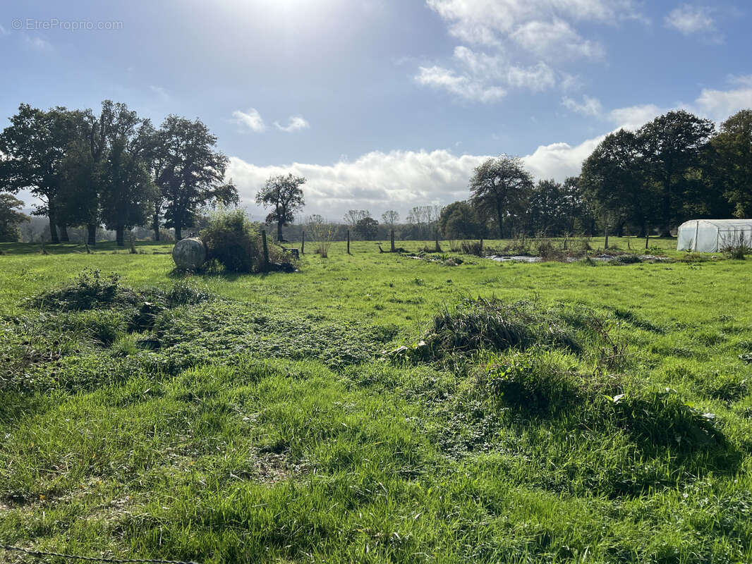 Maison à VILLAINES-LA-CARELLE