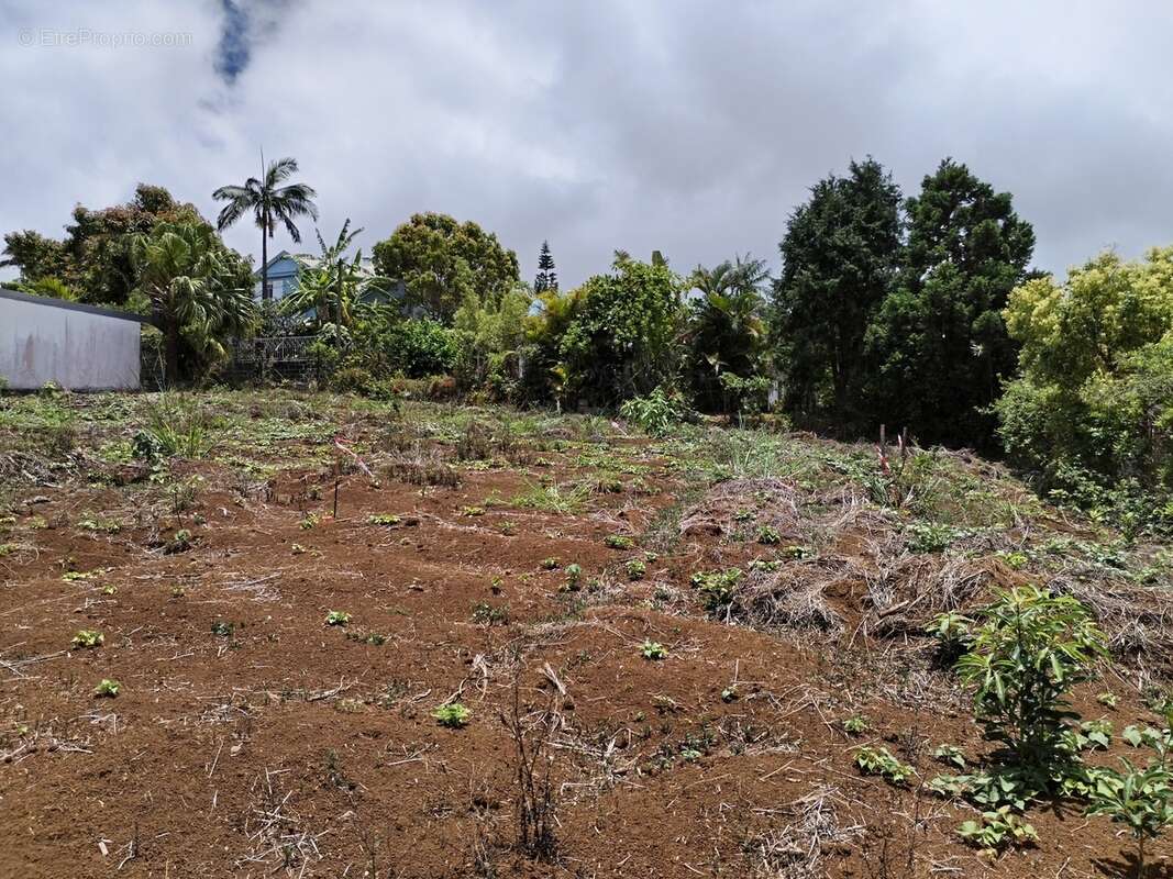 Maison à SAINT-PAUL