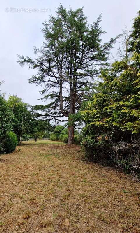 Maison à SAINT-GOURSON