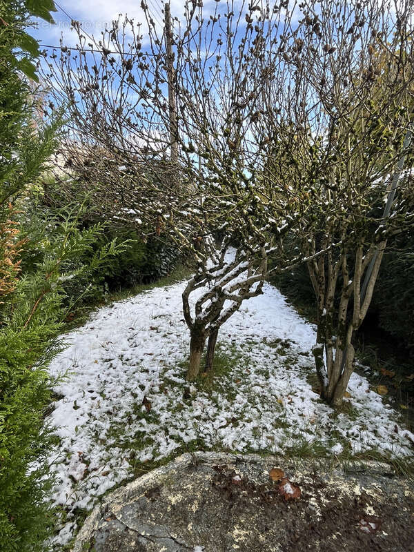 Maison à PARAY-VIEILLE-POSTE