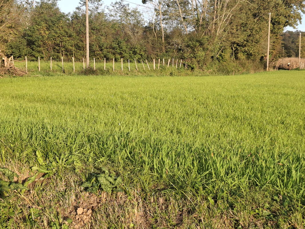 Terrain à ATHOS-ASPIS