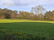 Terrain à ATHOS-ASPIS