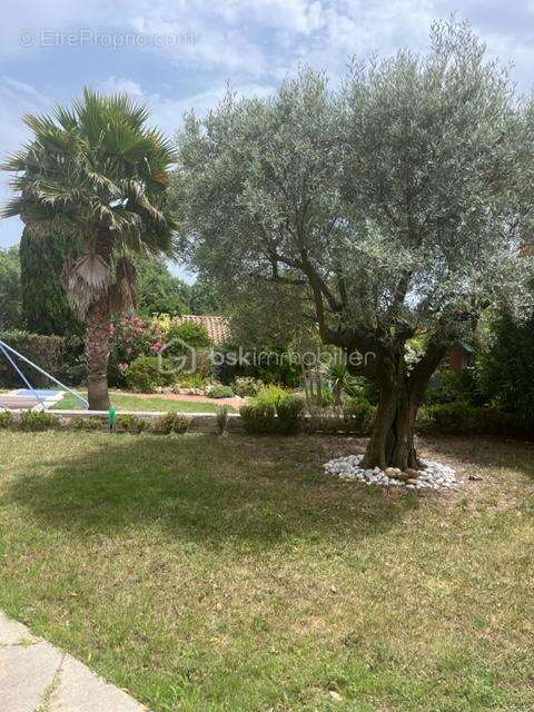 Maison à PRADES-LE-LEZ