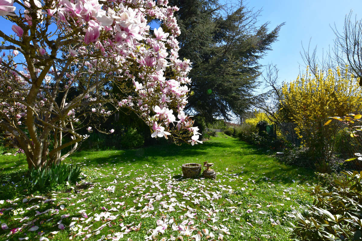 Maison à LES ESSARTS-LE-ROI