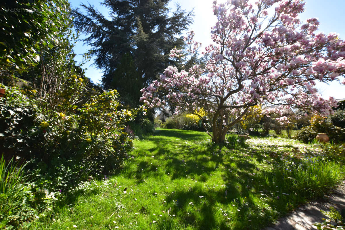Maison à LES ESSARTS-LE-ROI