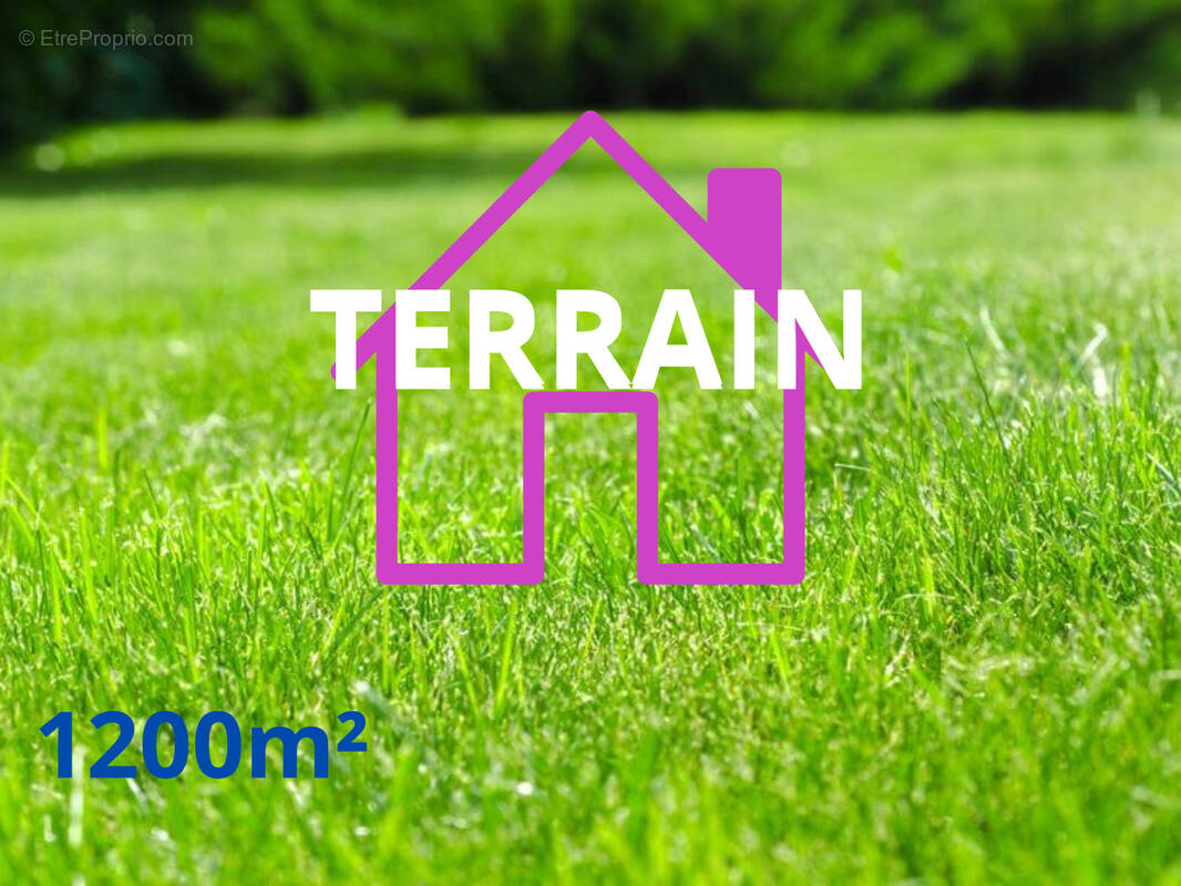 Terrain à HAUTE-AVESNES