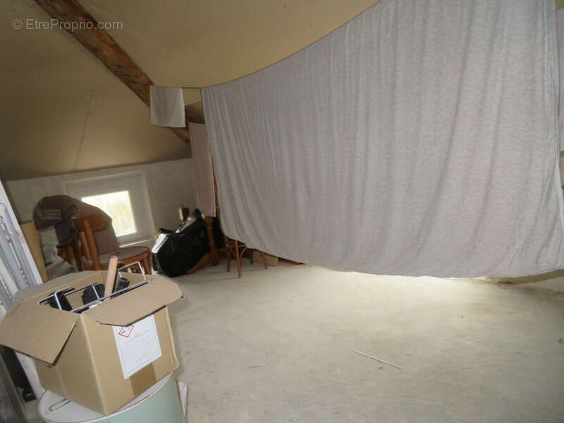 Commerce à ROUMOULES