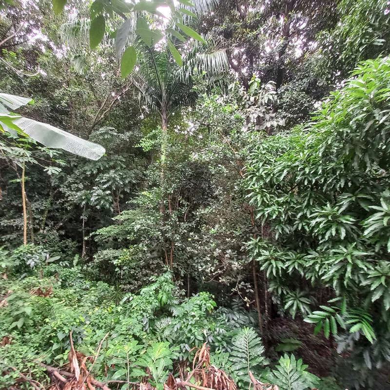 Terrain à BOUILLANTE