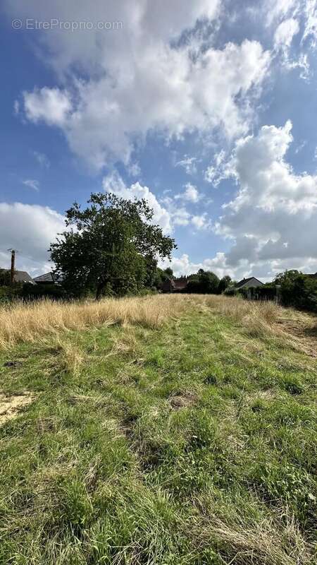 Terrain à BACHY