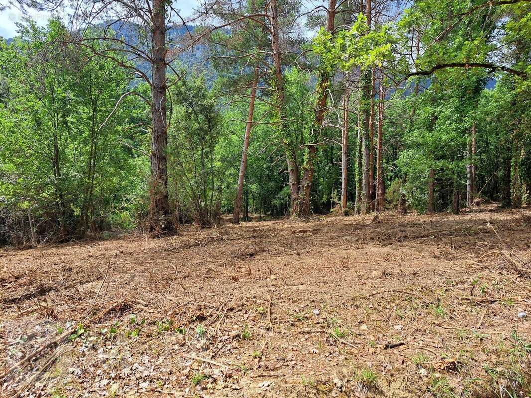 Terrain à BELVIANES-ET-CAVIRAC