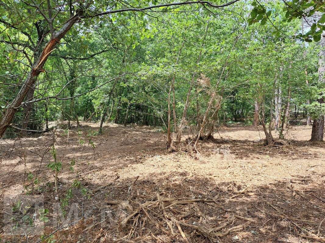 Terrain à BELVIANES-ET-CAVIRAC