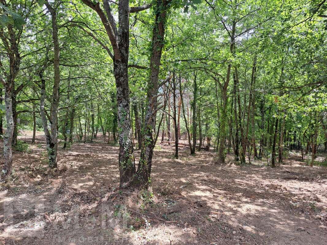 Terrain à BELVIANES-ET-CAVIRAC