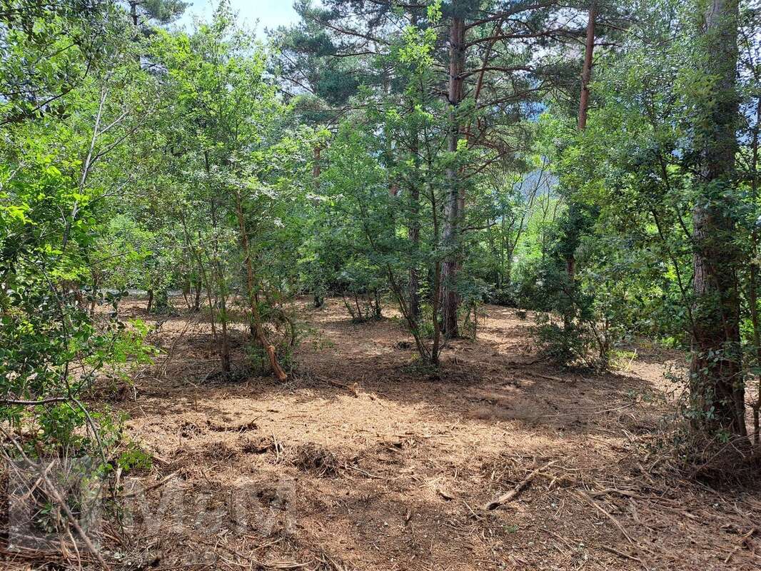 Terrain à BELVIANES-ET-CAVIRAC