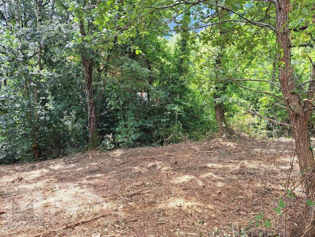 Terrain à BELVIANES-ET-CAVIRAC