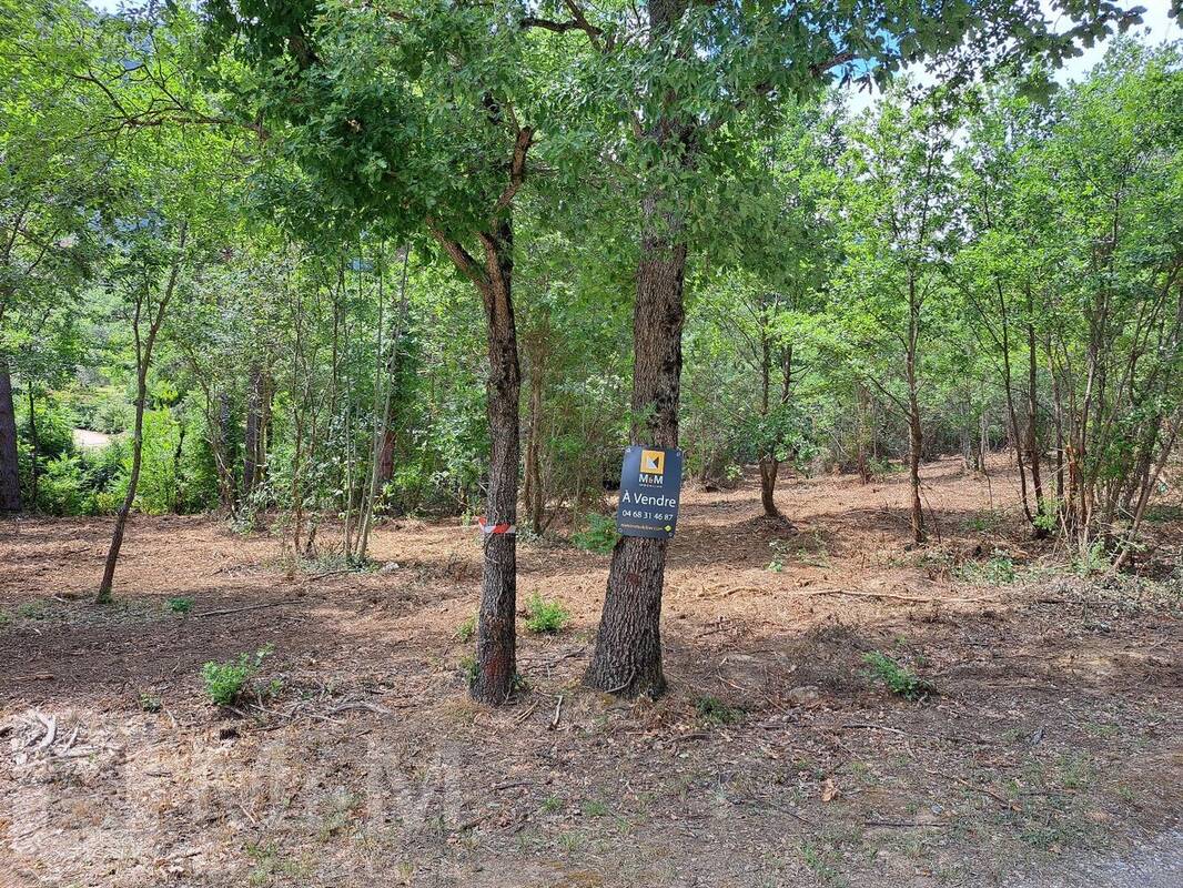 Terrain à BELVIANES-ET-CAVIRAC