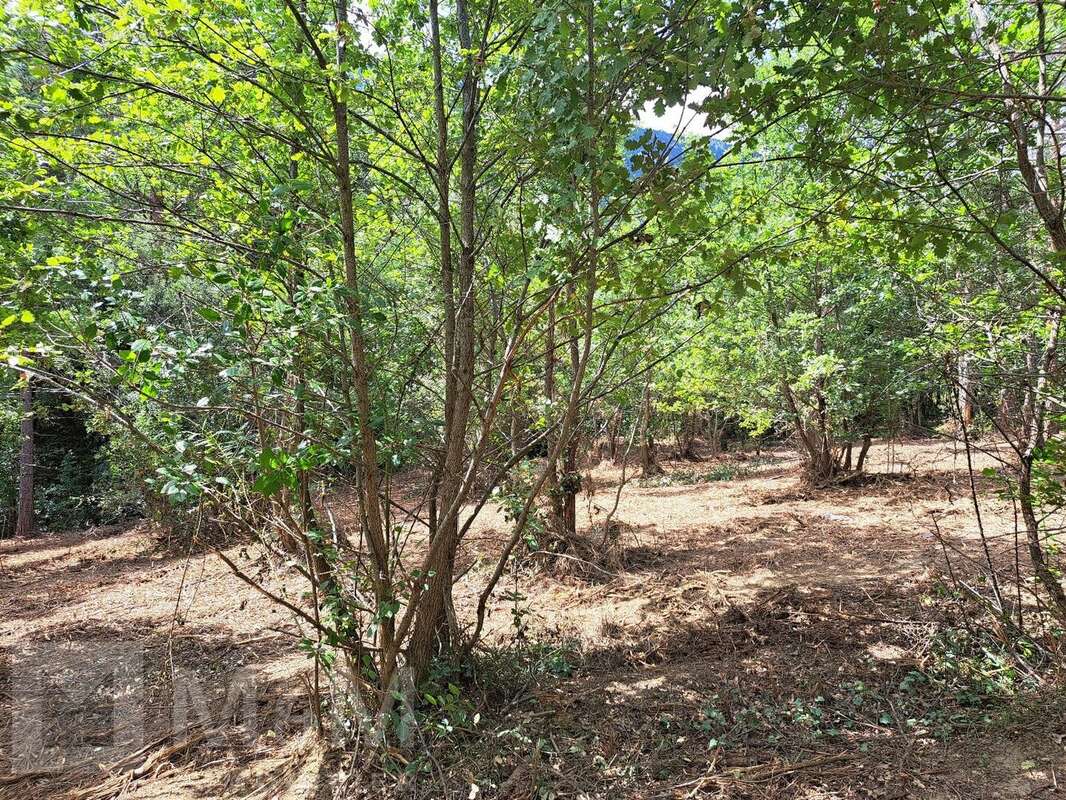 Terrain à BELVIANES-ET-CAVIRAC