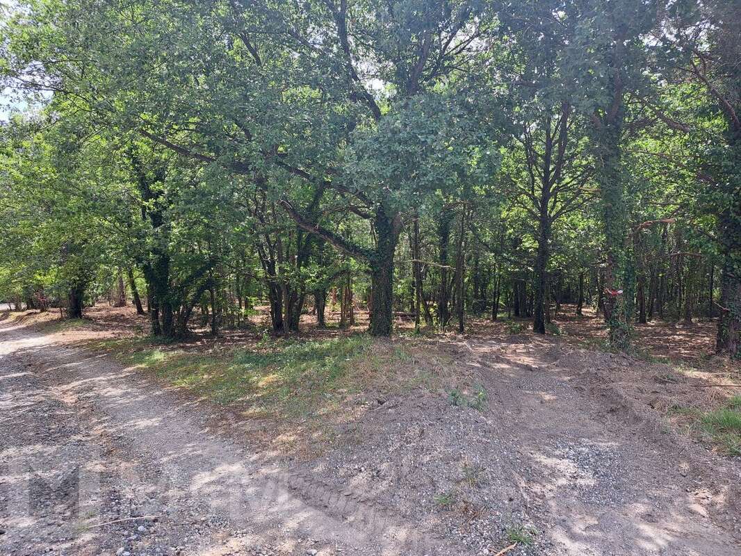 Terrain à BELVIANES-ET-CAVIRAC