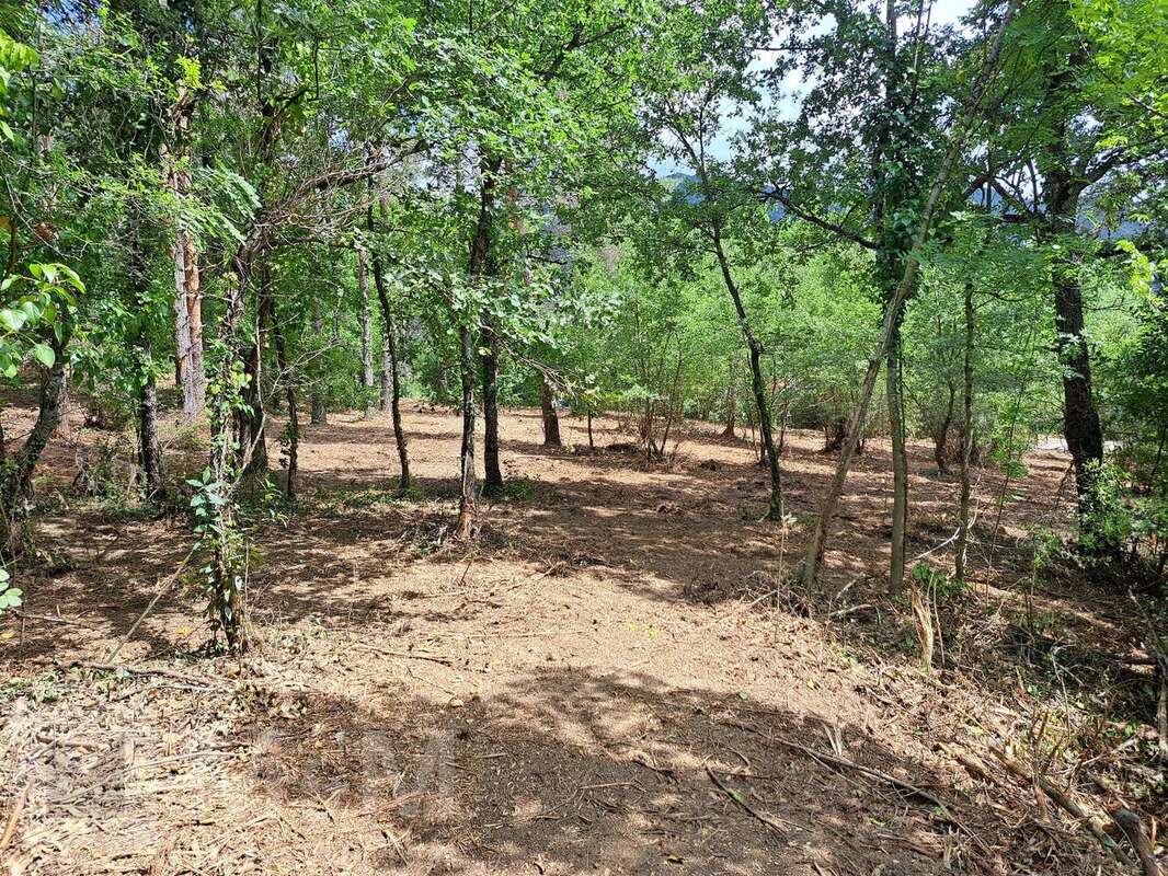 Terrain à BELVIANES-ET-CAVIRAC