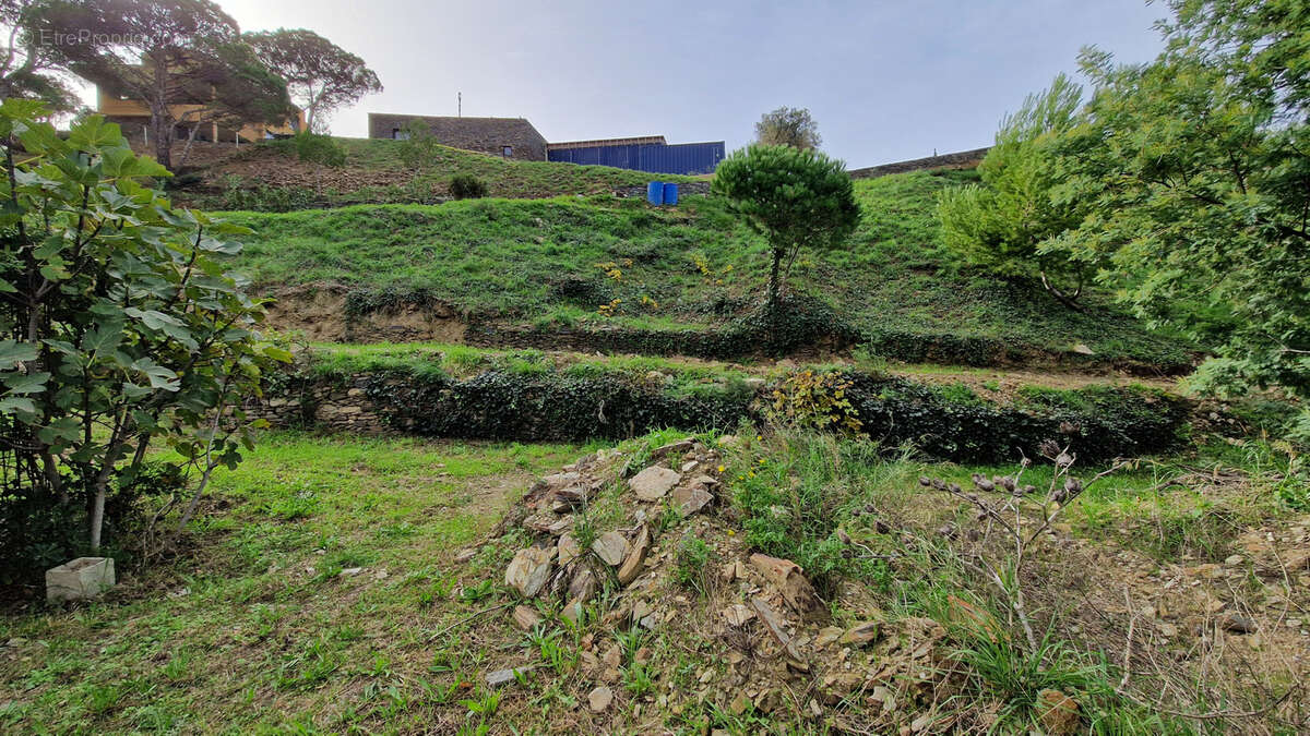 Terrain à PORT-VENDRES