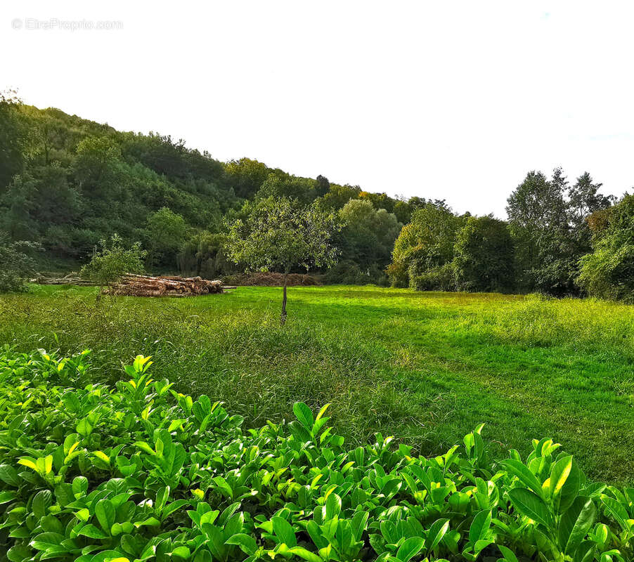 Maison à LES GRANDES-VENTES