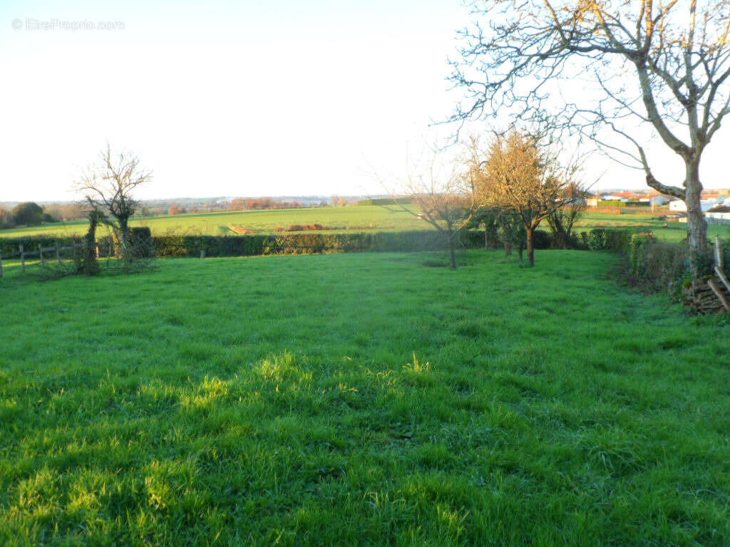 Terrain à POUZAUGES