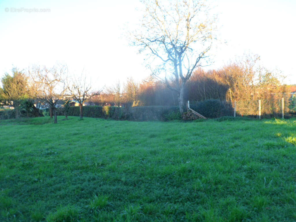 Terrain à POUZAUGES