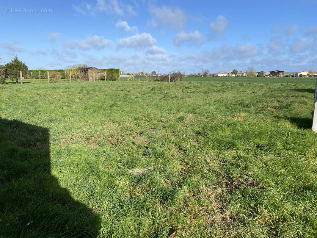 Terrain à SAINT-VINCENT-SUR-JARD