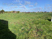 Terrain à SAINT-VINCENT-SUR-JARD