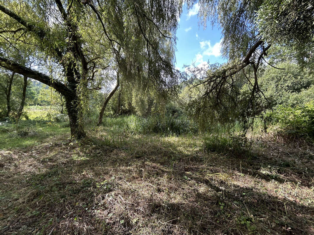 Maison à SAINT-BARTHELEMY