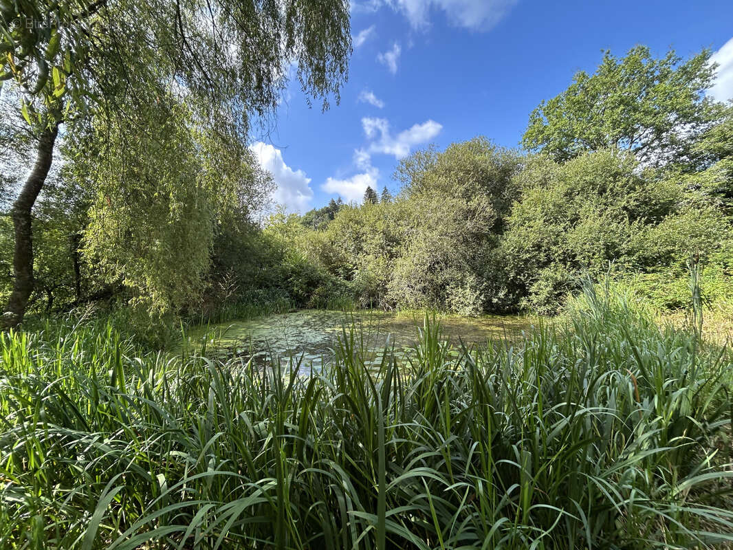 Maison à SAINT-BARTHELEMY