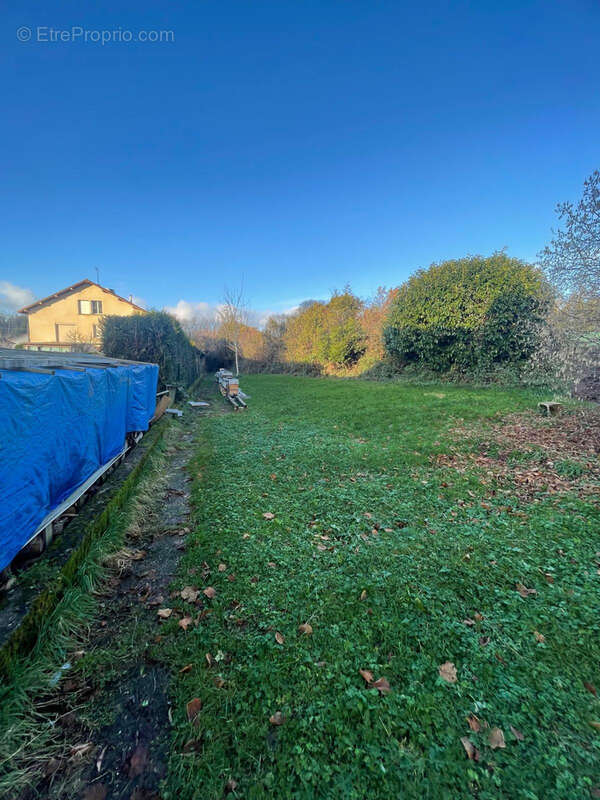 Terrain à VAIRE-LE-PETIT
