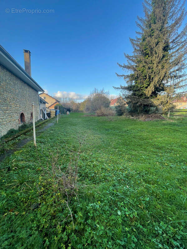 Terrain à VAIRE-LE-PETIT