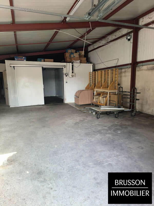 Appartement à CASTRES