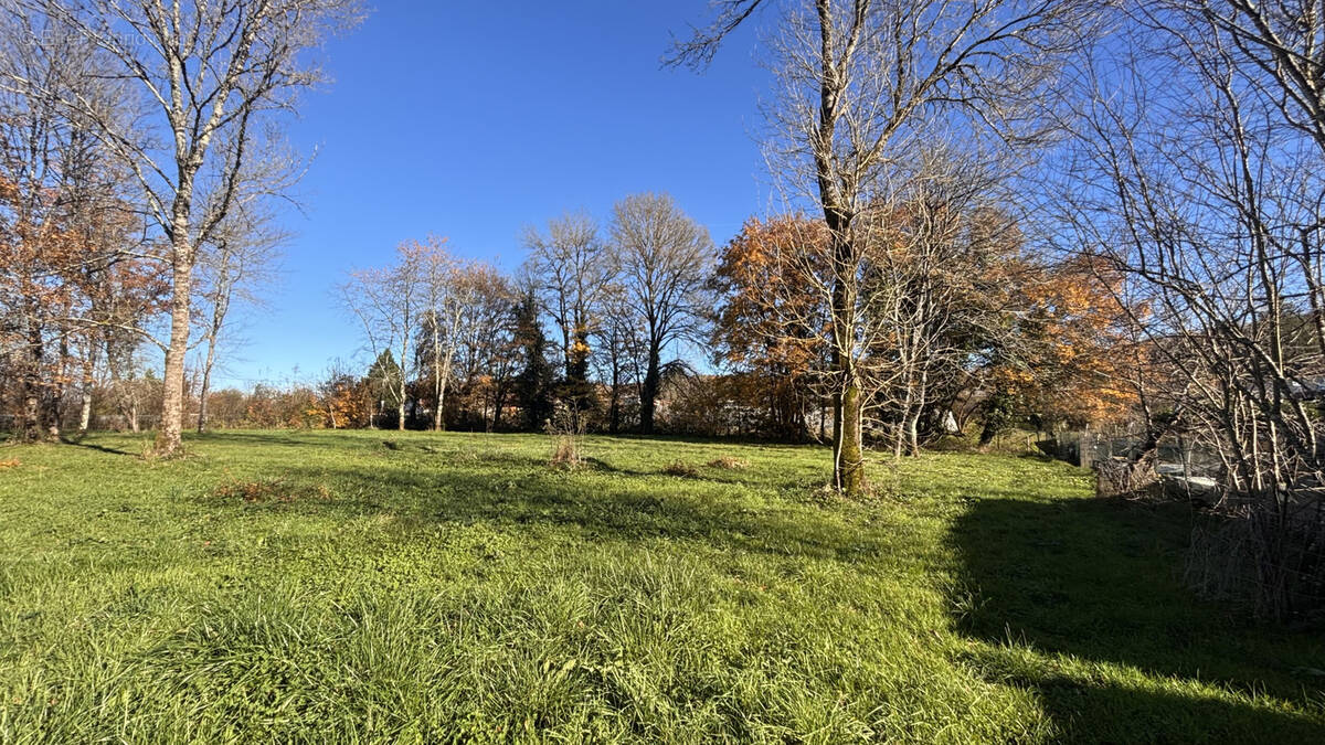 Terrain à CHANCELADE