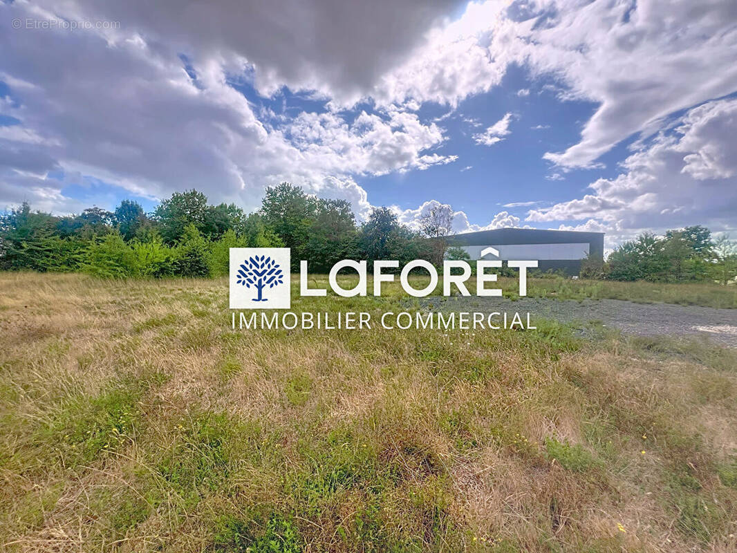 Terrain à LA FORET-SUR-SEVRE