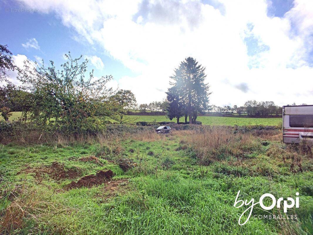 Terrain à QUEUILLE