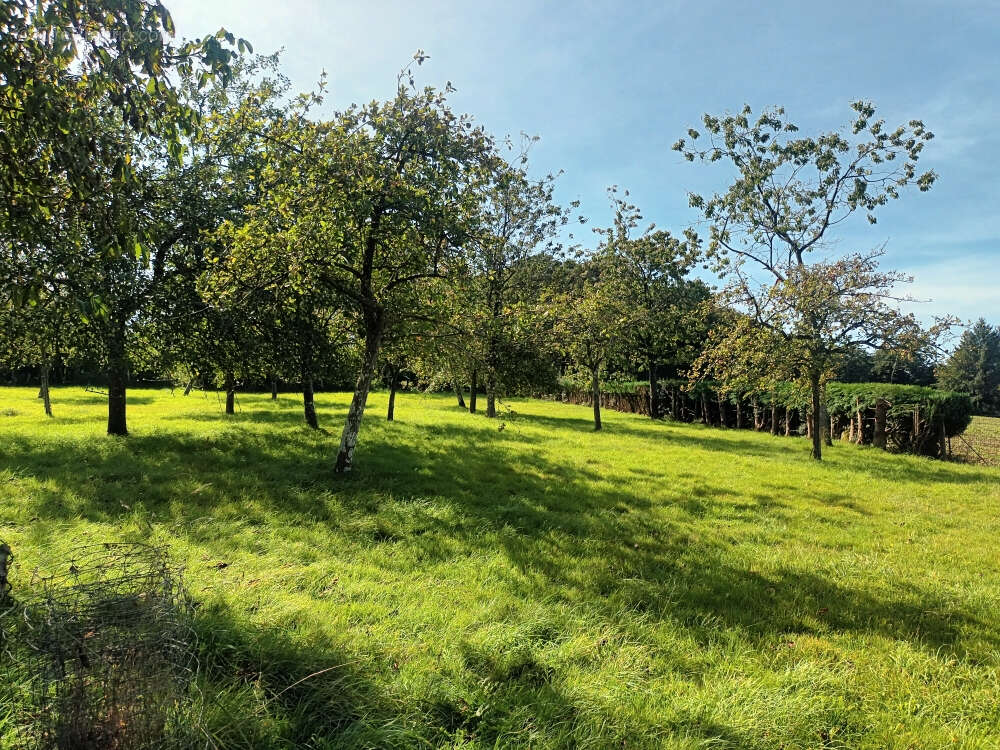 Maison à SAINT-MICHEL-DE-MONTJOIE