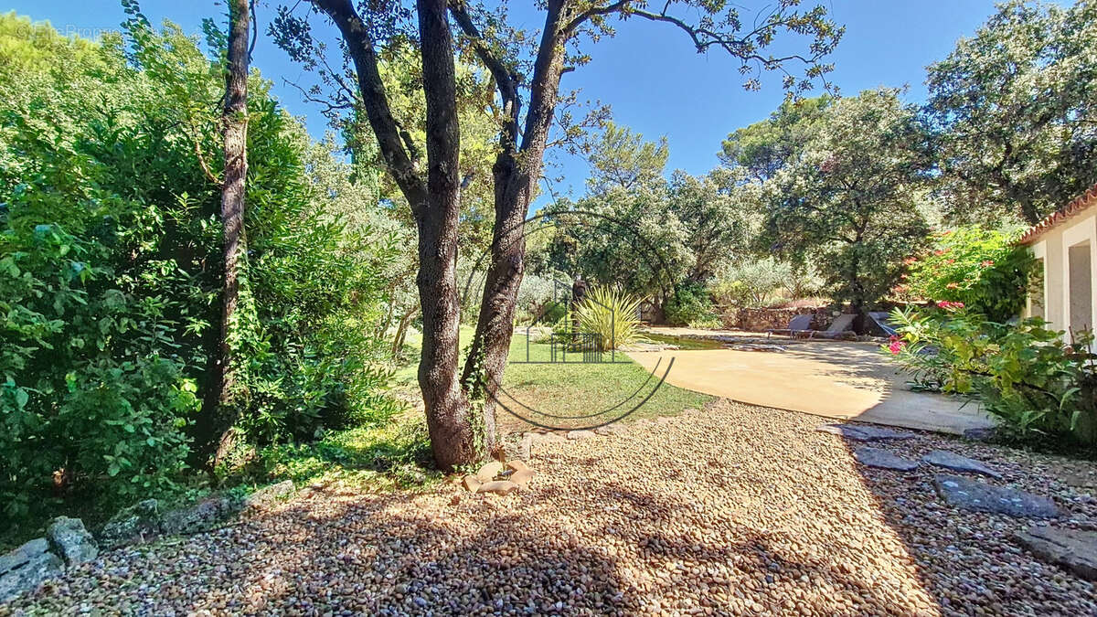 Maison à CHEVAL-BLANC