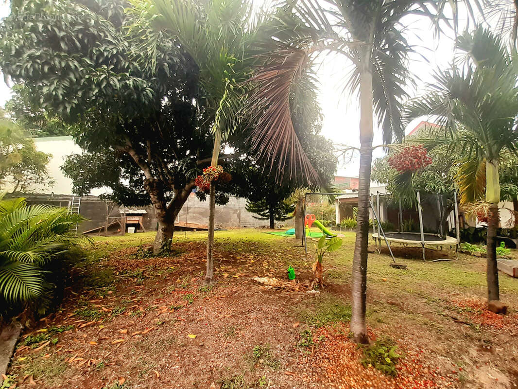 Terrain à SAINT-PAUL