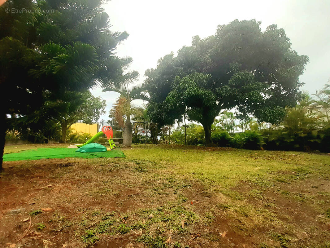 Terrain à SAINT-PAUL