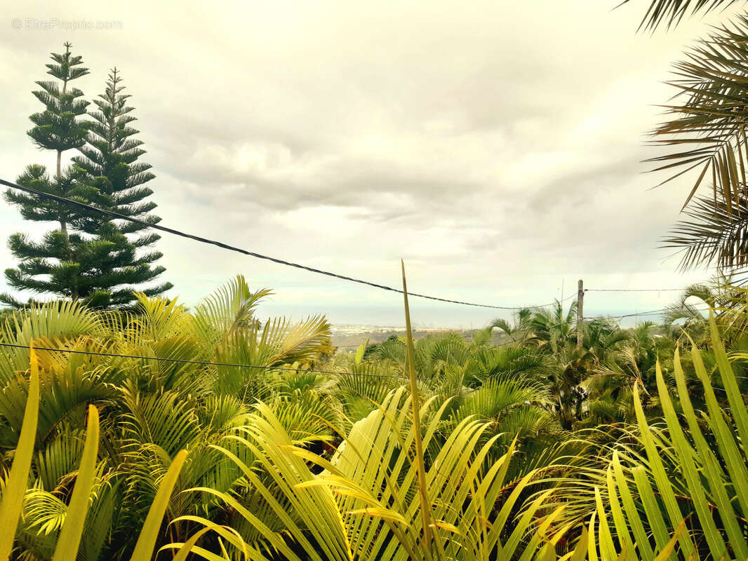 Terrain à SAINT-PAUL