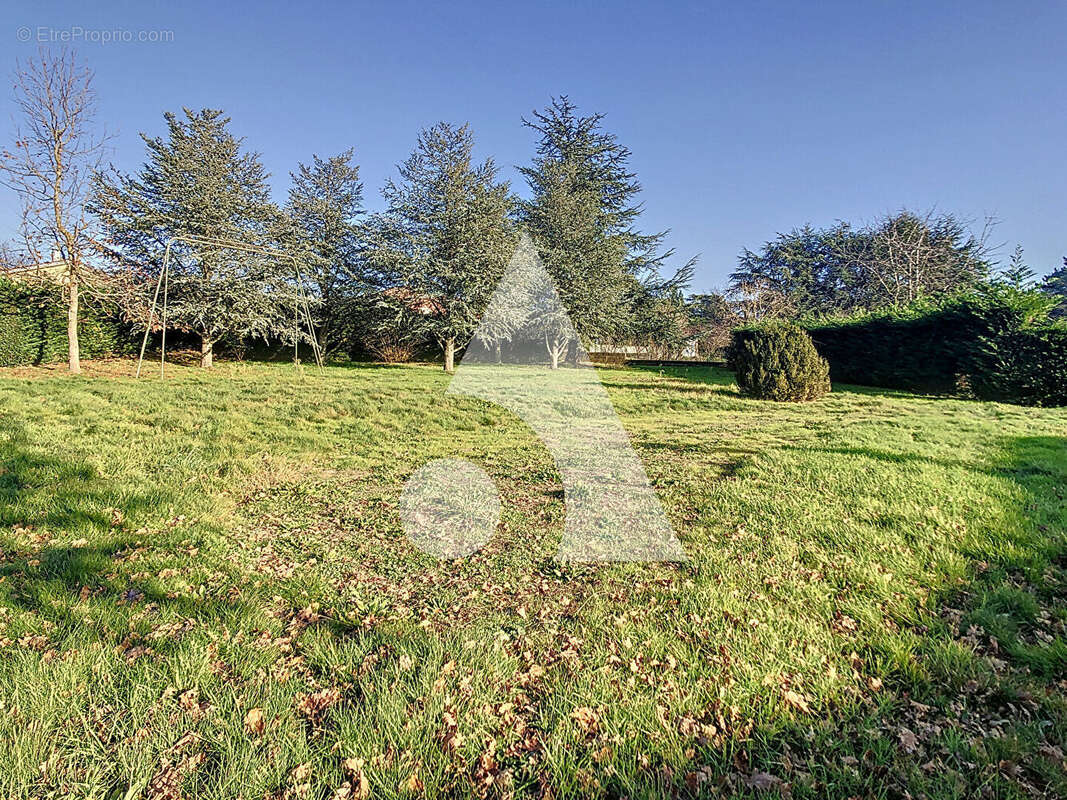 Terrain à SAINT-SYMPHORIEN-SUR-COISE